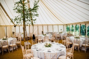 Limewashed Chivari Chairs