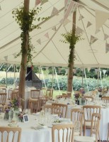 Natural Banqueting Chairs