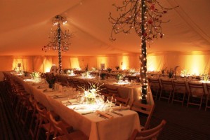 Fairy Lights on King Pole and up lights