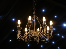 Bird Cage Chandelier