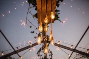 Vintage du Vin Chandelier close up